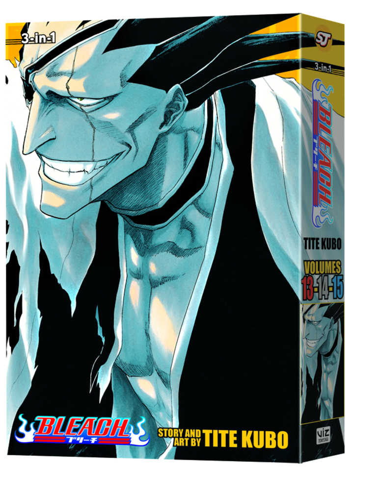 Bleach 3-In-1 Vol 05
