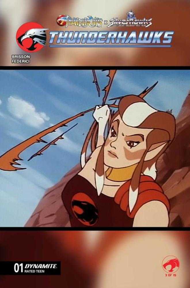 Thundercats X Silverhawks Thunderhawks #1 Cover E Animation Art Variant