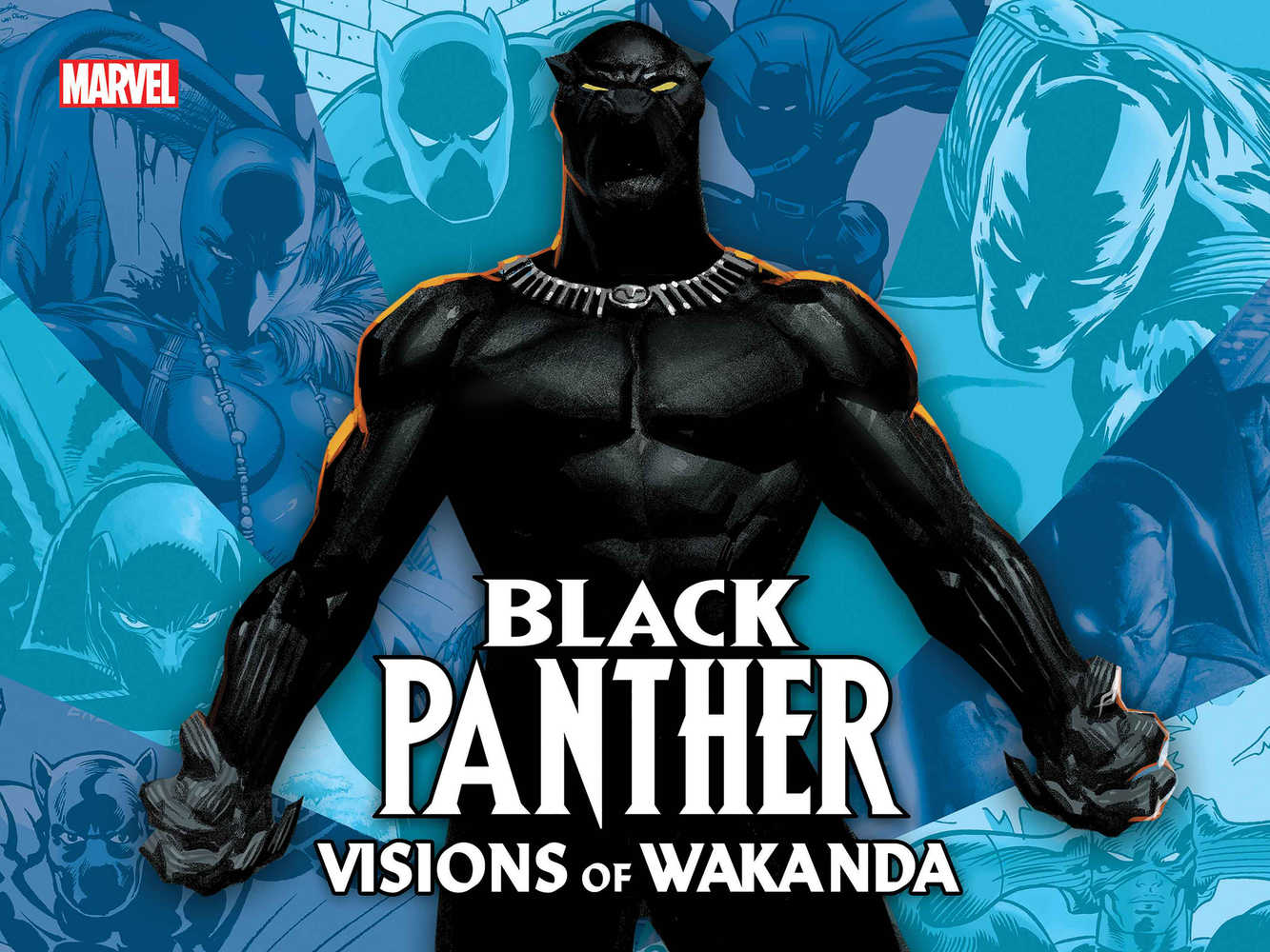 Black Panther: Visions Of Wakanda HC