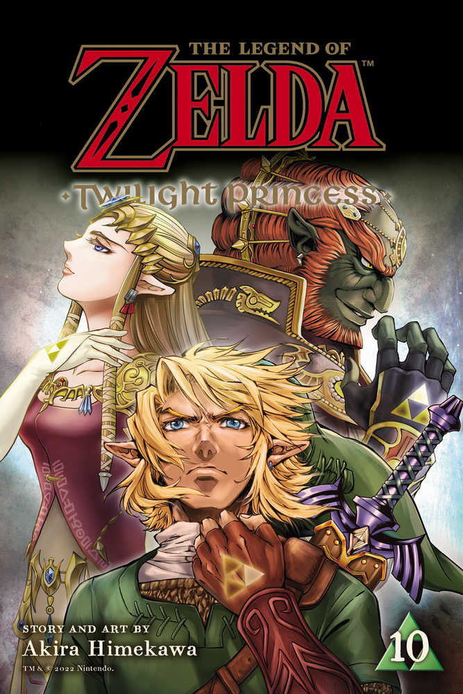 Legend Of Zelda: Twilight Princess Vol 10