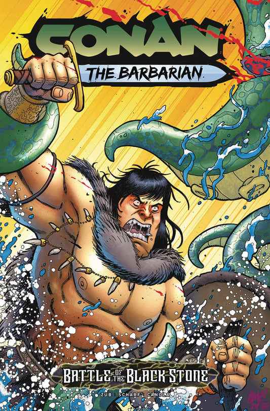 Conan: Battle of the Black Stone #1 (of 4) Cover E Fleecs