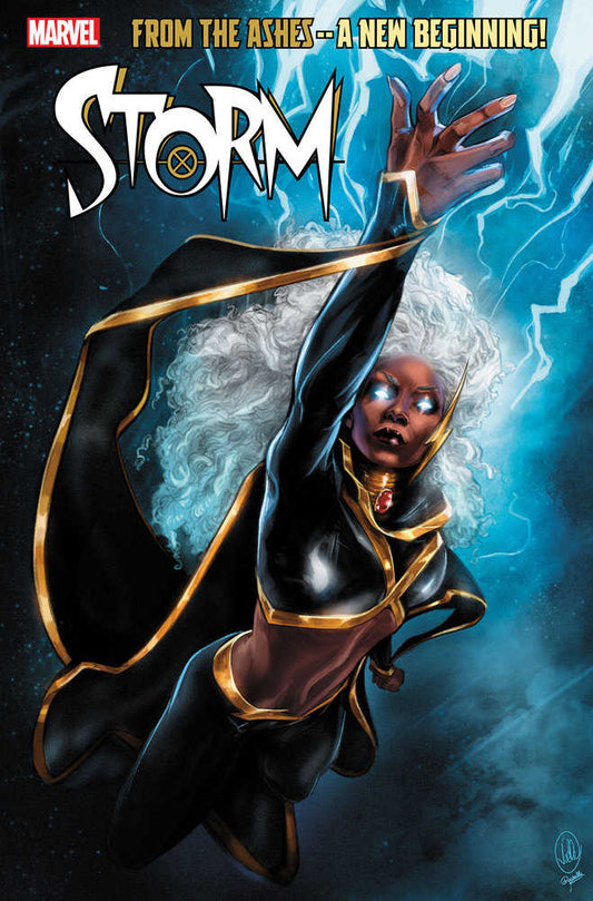 Storm (2024) #1 Joelle Jones Variant