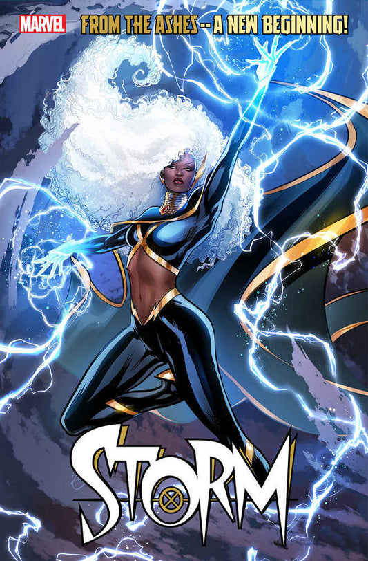 Storm (2024) #1 Lucas Werneck Variant