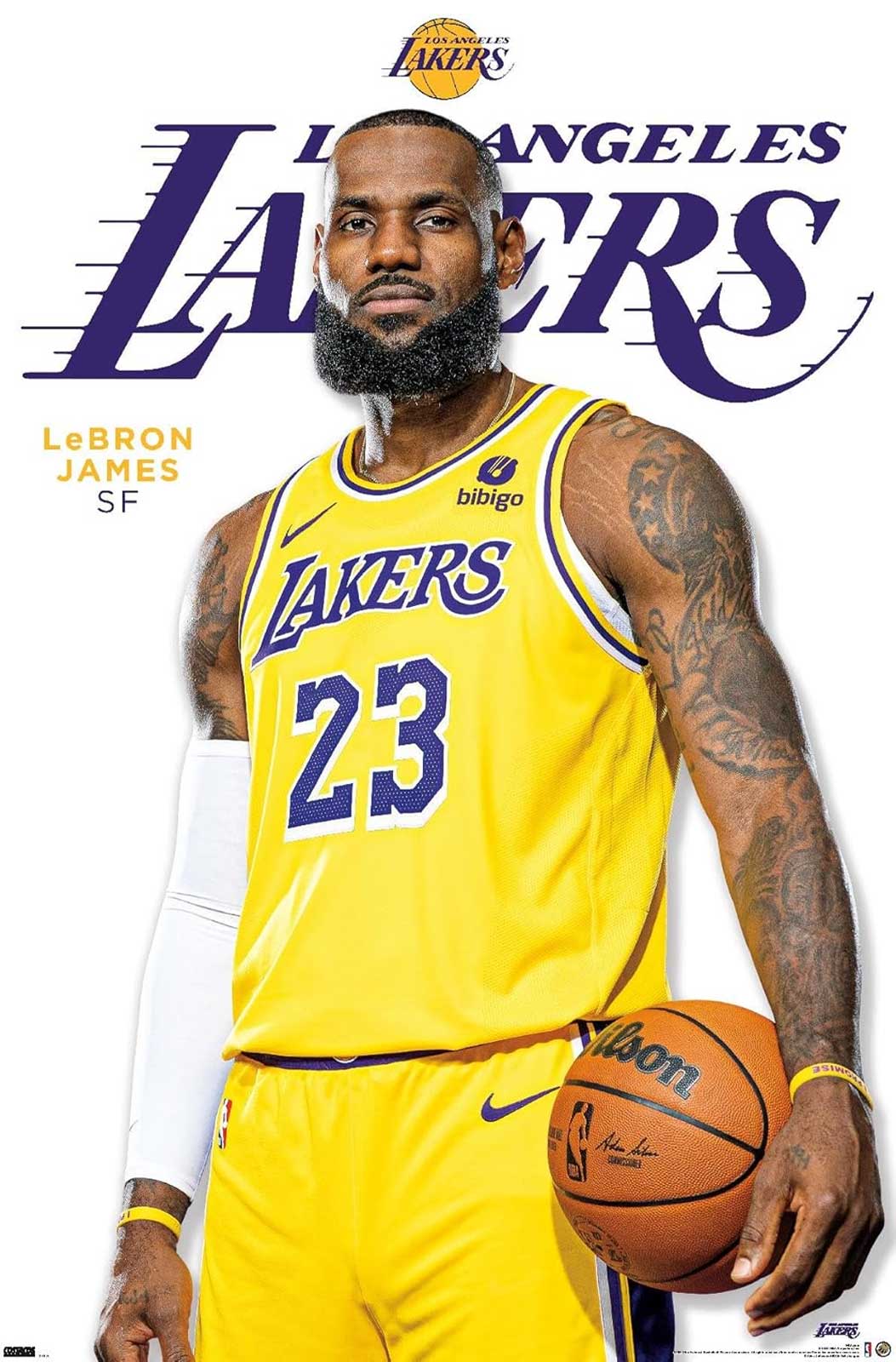 Lebron James Sports Poster - 23' X 34': Shrinkwrapped on Cardboard