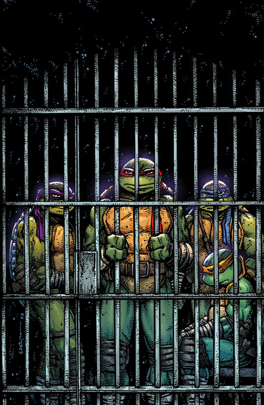 Teenage Mutant Ninja Turtles (2024) #11 Eastman 1:10 Virgin Variant