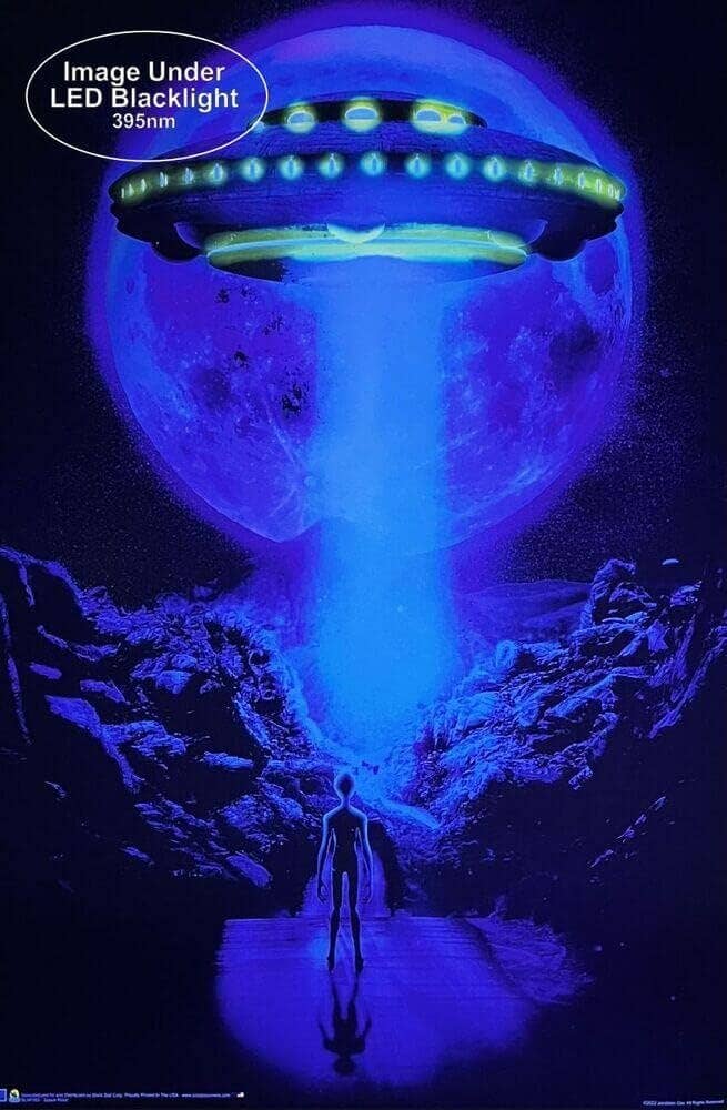 Space Road by Jonathan Gay Non-Flocked Blacklight Poster: Shrinkwrapped on Cardboard