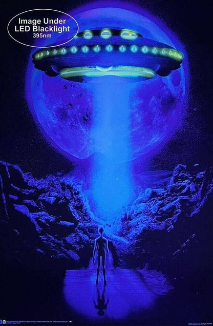 Space Road by Jonathan Gay Non-Flocked Blacklight Poster: Shrinkwrapped on Cardboard