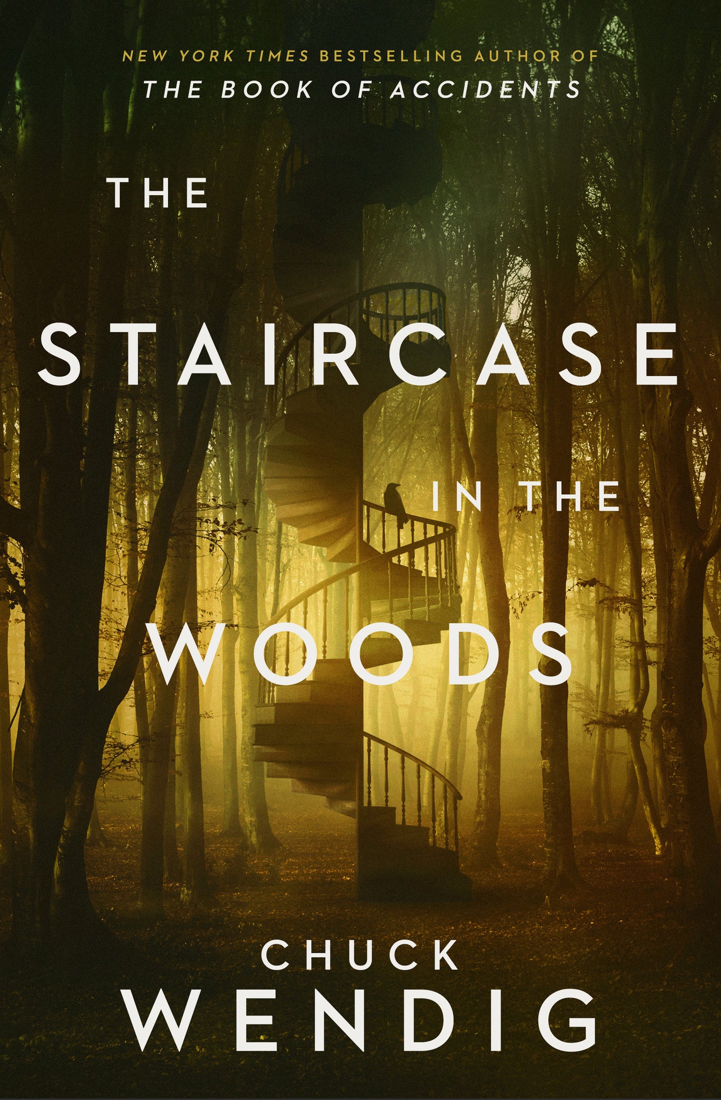 Staircase In The Woods HC