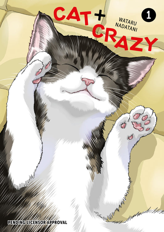 Cat + Crazy Vol 01