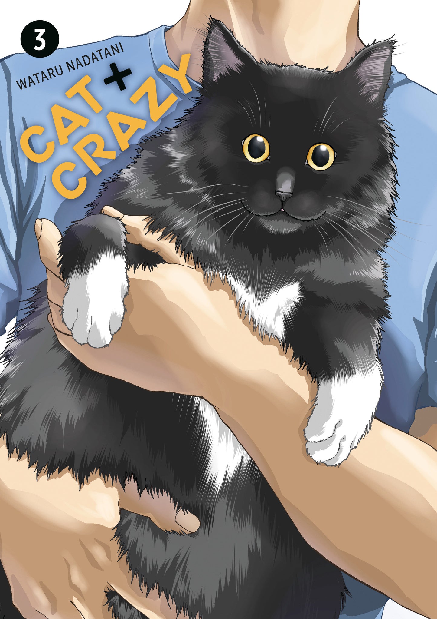 Cat + Crazy Vol 03