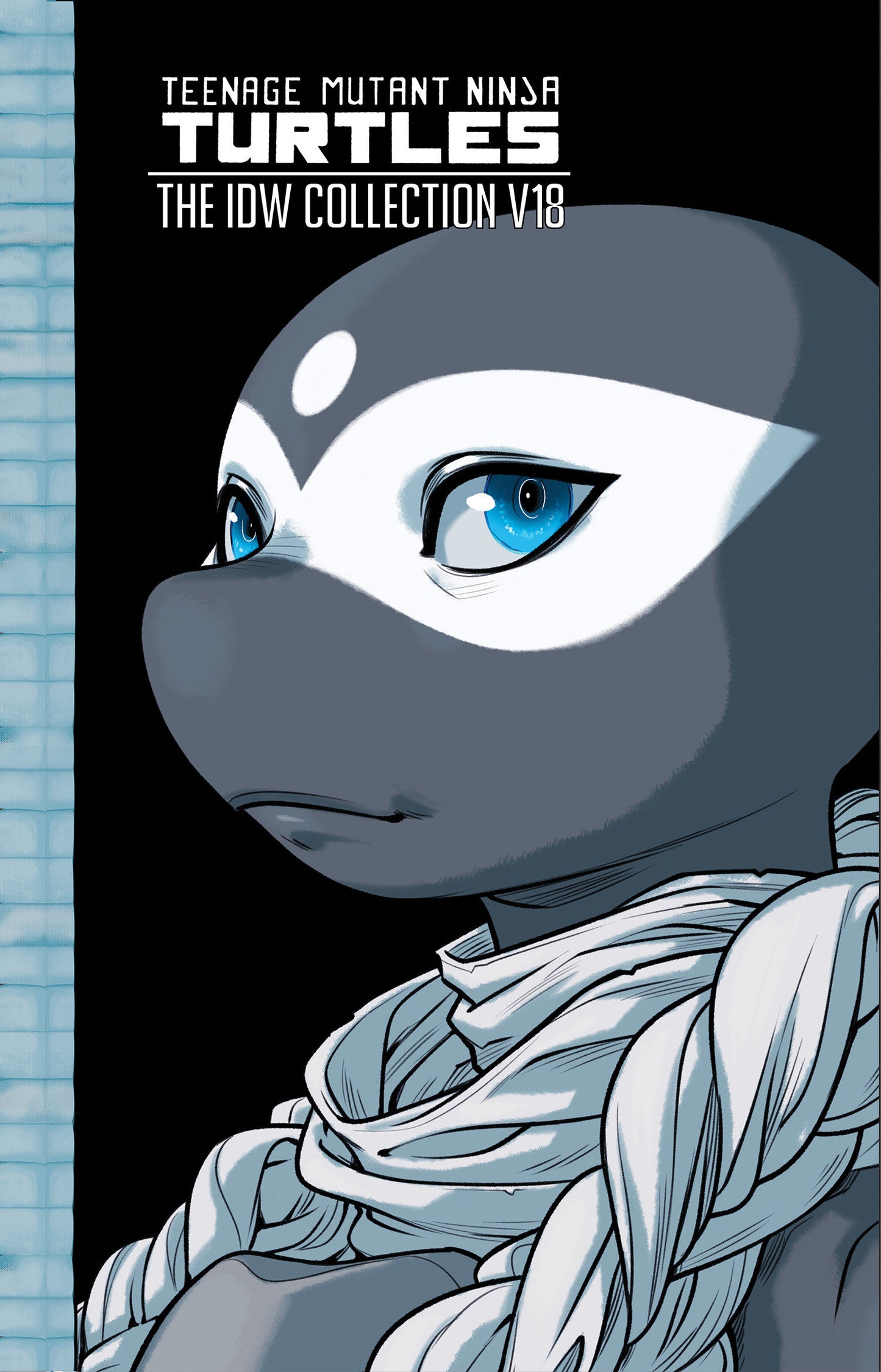 Teenage Mutant Ninja Turtles: The IDW Collection Vol 18 TPB